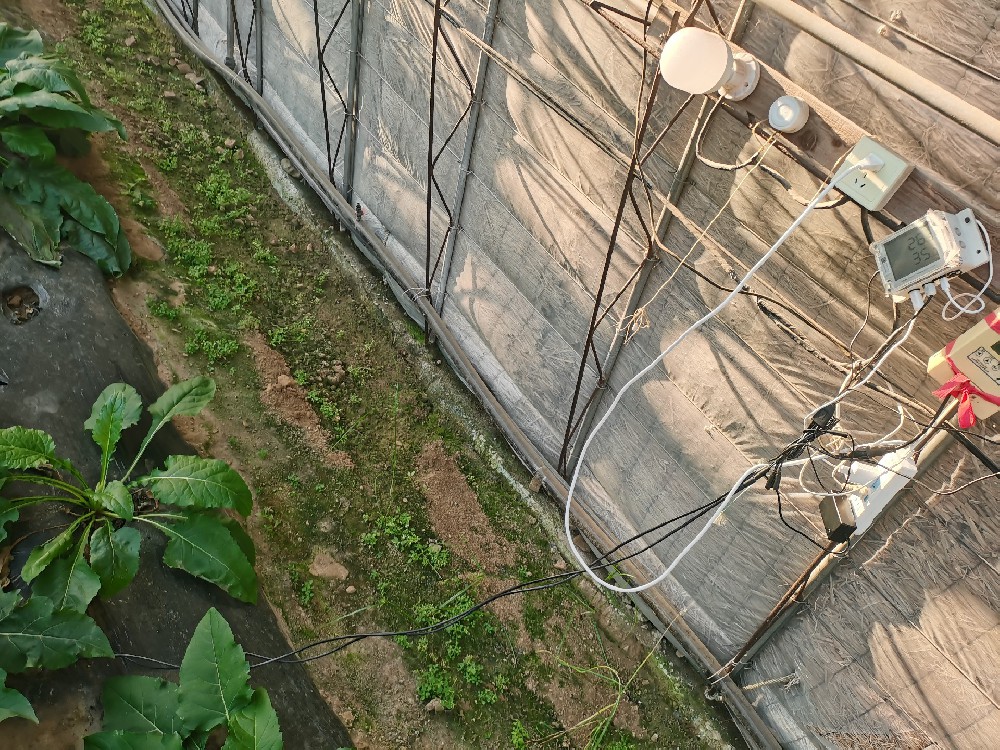 北斗物联网技术赋能，金州土门子生物基地